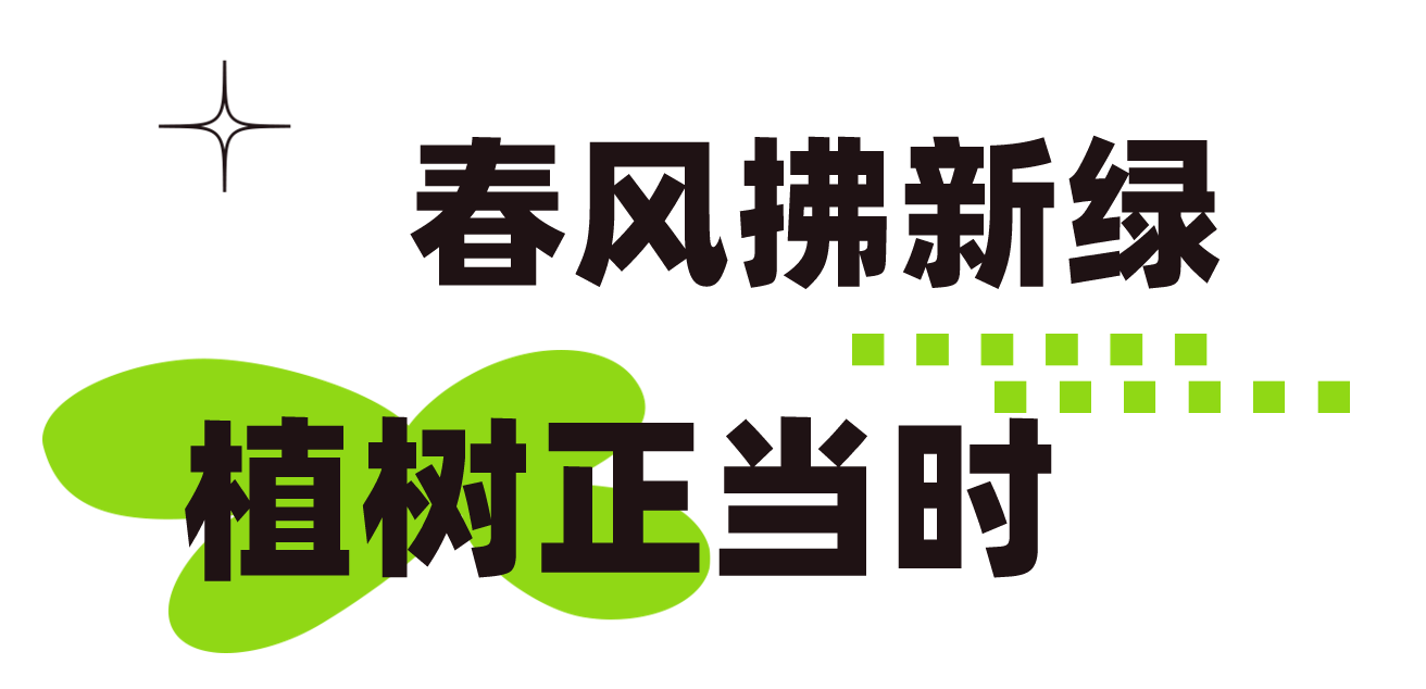和美睦邻+ | 隆泰物业绿色家园植树节活动精彩有你(图2)