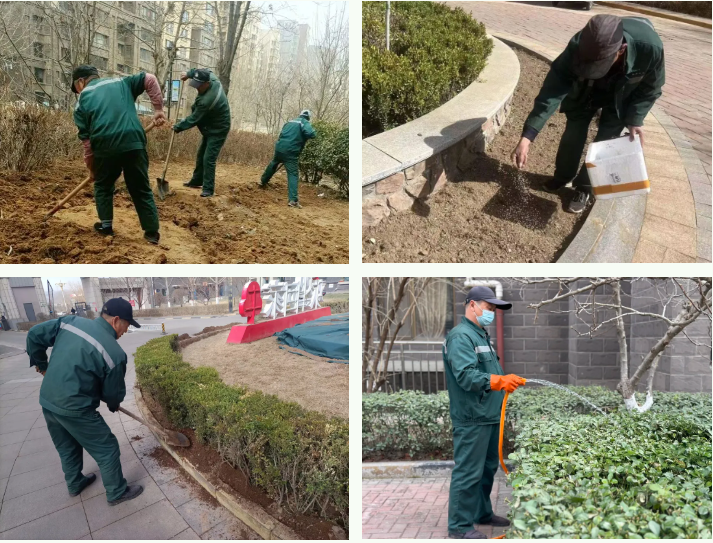 春雷行动 | 焕新春天，约你来见~(图6)